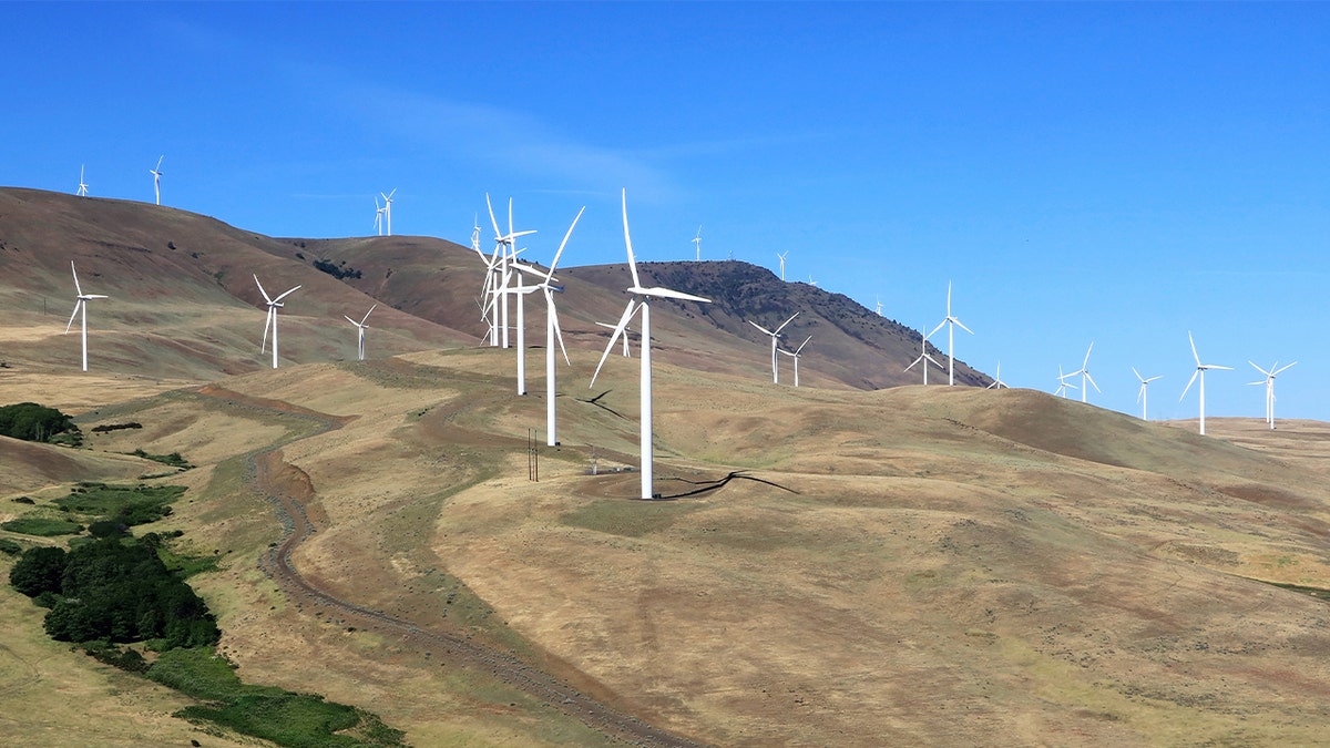 A wind turbine farm in the Columbia River Gorge on the Washington state side of the river.