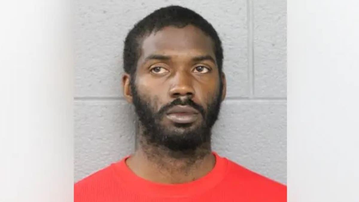 Jerell Thomas has been charged with first-degree murder in the killing of Oak Park Police Department Detective Allan Reddins near Chicago.