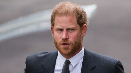 DHS will release some of Prince Harry’s immigration docs amid allegations he lied about drug use