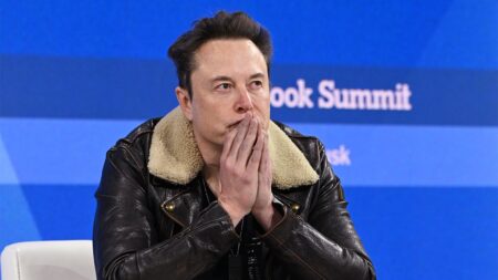 Federal agency tells staff responses to Musk’s DOGE productivity email may be read by ‘malign foreign actors’