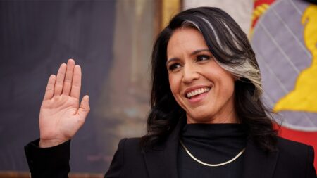 Tulsi Gabbard gives exclusive glimpse of Trump’s first Cabinet meeting