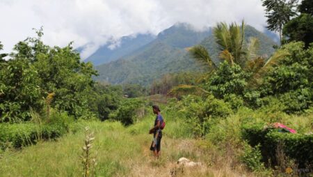 Indonesia residents run outside as shallow quake hits