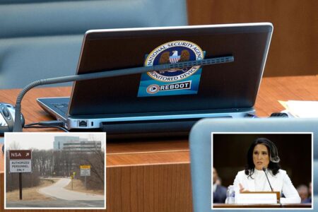 DNI Tulsi Gabbard says she’s firing more than 100 intel employees who took part in ‘obscene’ sex chatrooms