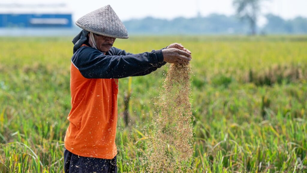 Indonesian President Prabowo’s quest for food security faces challenges