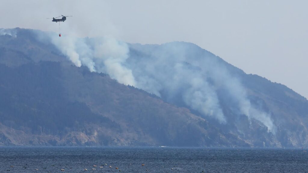 Japan battles biggest wildfire in decades