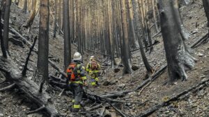 Rain checks spread of Japan wildfire