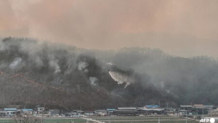 Two killed in South Korea wildfire, hundreds told to evacuate