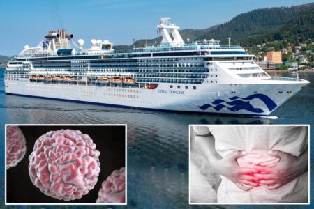 Norovirus outbreak sickens 82 people on Princess Cruises ship — for the second time this year