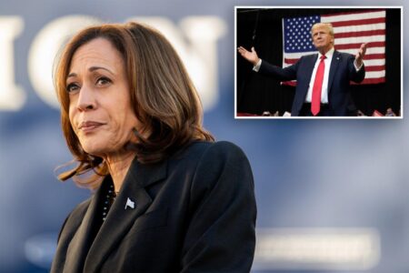 Kamala Harris is double-digit favorite to win 2028 Democratic Party nomination: poll 