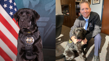 ‘Golden State Killer’ prosecutor enlists special K-9 to sniff out cybercrimes in new digital strategy