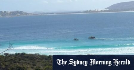 Hunt for missing surfer after shark attack