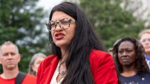 Rashida Tlaib becomes lone House lawmaker opposing cracking down on Mexican cartels’ border tunnel system