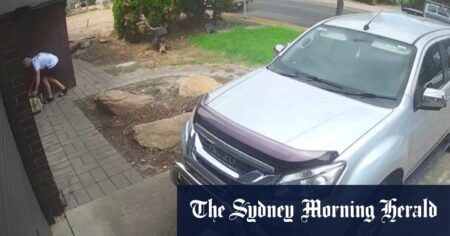 Video shows man taking Woolworths delivery from doorstep