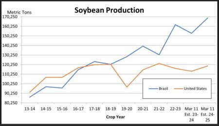 Brazil’s Increasing Soybean Output Keeps Markets Well Supplied