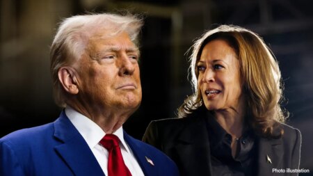 Trump gives Harris advice on potential CA governor run