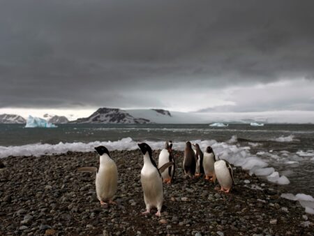 South Africa’s Antarctica base hit by assault claims: What happened?