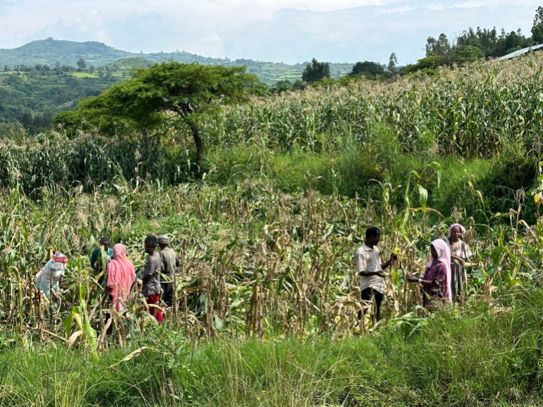 Ethiopia Awra Amba conflict