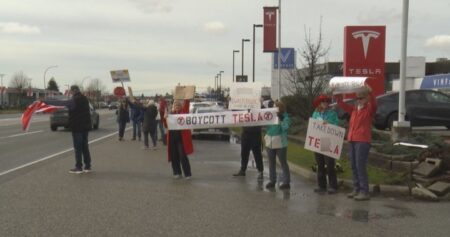 Protest held at Langley Tesla dealership against Elon Musk, in support of democracy