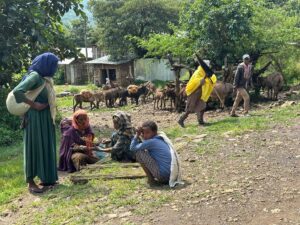 The antiwar community caught in the crossfire of Ethiopia’s Amhara conflict