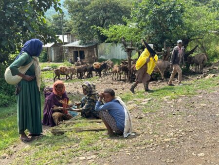 The antiwar community caught in the crossfire of Ethiopia’s Amhara conflict