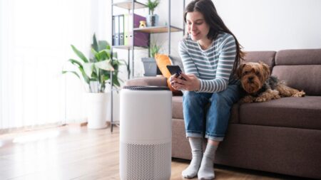 What’s Better for Allergies: A Humidifier or an Air Purifier?