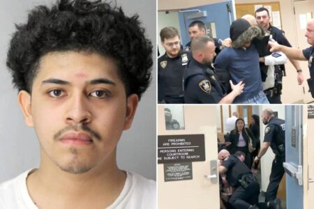 Wild courtroom brawl erupts at Long Island hearing for teen murder suspect