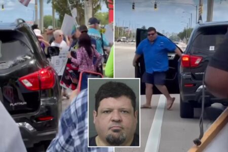 Florida man drives cars into anti-Musk protest at Tesla dealership