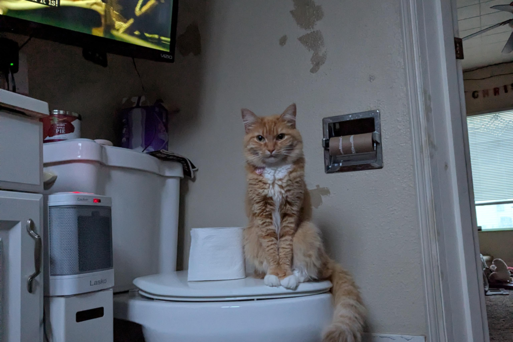 New Parent Tries to Relax in the Bathtub—Then Spots Two Eyes Staring Back