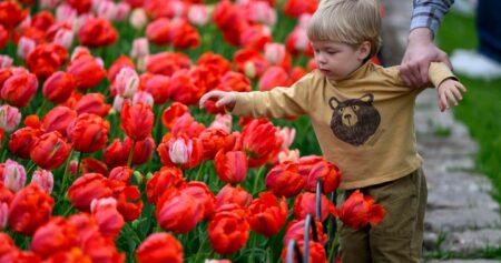 Spring is taking root across Canada. What will the season bring?