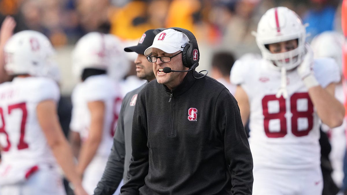 Troy Taylor on sideline