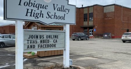 Bats take over this New Brunswick school. Some students say they were even chased