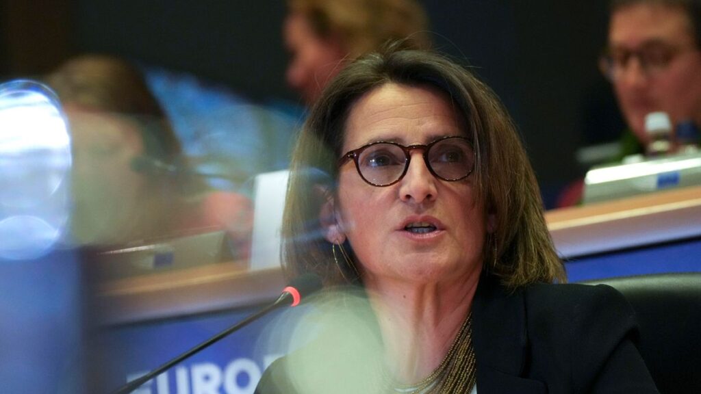 EU competition chief on DMA: ‘We’re not here to make enemies’