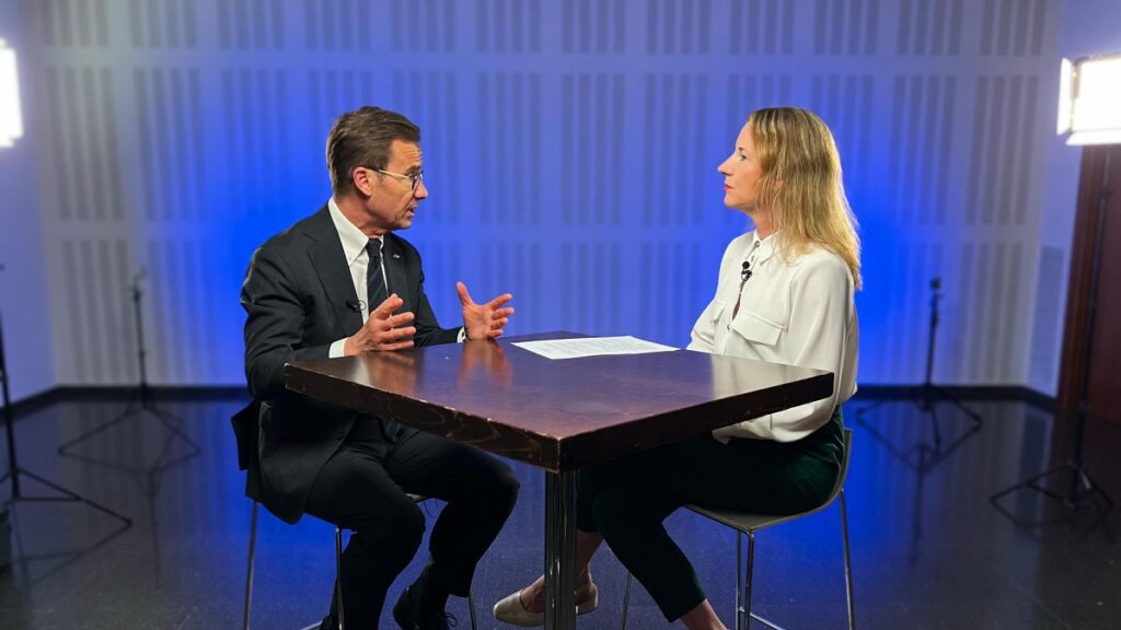 Shooting sprees ‘not over yet’ in Sweden: Prime Minister