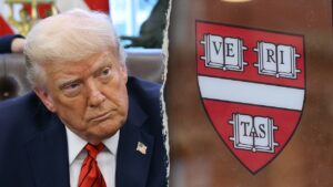 Harvard professor reveals university was ‘not ready’ after Oct 7 as Trump revokes tax-exempt status