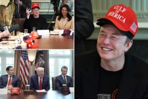 Elon Musk cap-tivates Trump at cabinet meeting as DOGE chief dons two caps: ‘Only one that can do that’