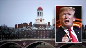 Federal judge blocks Trump administration from terminating international students’ legal status