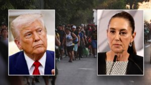 Mexican president declines Trump’s offer of US troops to help fight drug cartels