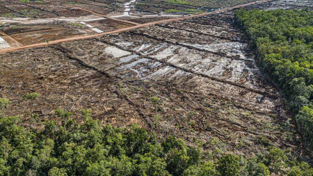 Landslide at gold mine in Indonesia’s Papua kills six; 14 missing