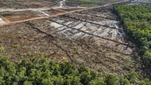 Landslide at gold mine in Indonesia’s Papua kills six; 14 missing