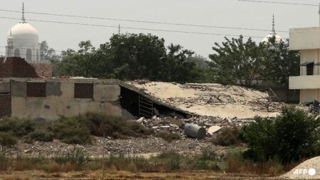 What were the targets India destroyed in its strikes in Pakistan?