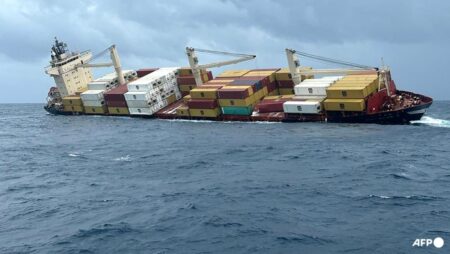 Container ship sinks off India’s south coast with hazardous cargo