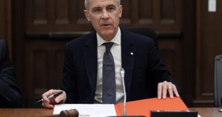 As Canada and Europe look to partner on defence, what could that look like?