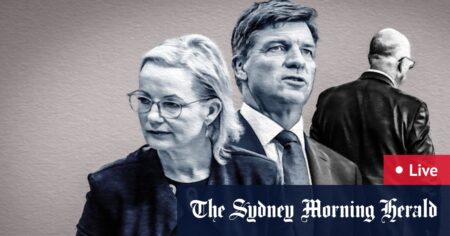 Sussan Ley beats Angus Taylor to claim Liberals leadership, PM and new Labor cabinet sworn in