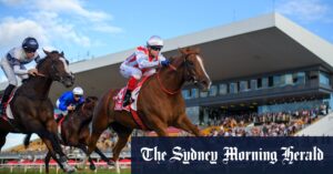 State launches horse, greyhound racing review