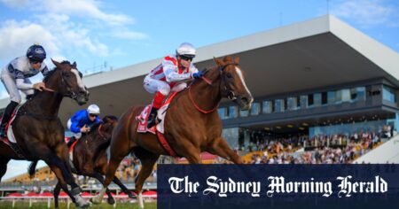 State launches horse, greyhound racing review
