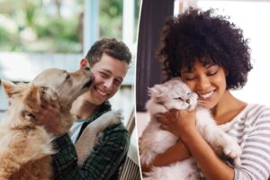 How pets improve their owners’ mental health