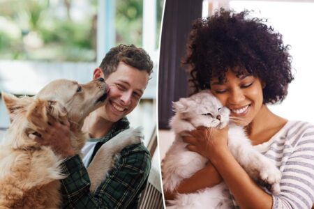 How pets improve their owners’ mental health