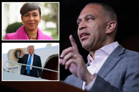 Ex-Pelosi aide accuses Hakeem Jeffries of ‘squandering’ anti-Trump opportunities in stunning rebuke