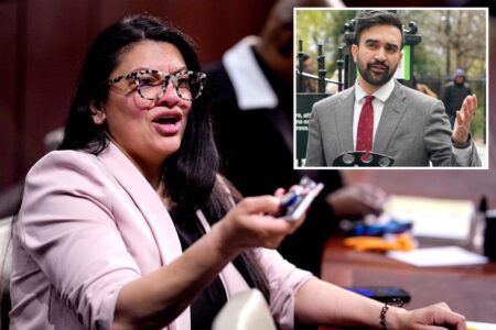 Exclusive | Anti-Israel ‘Squad’ member Rashid Tlaib fundraises for NYC mayoral candidate Zohran Mamdani