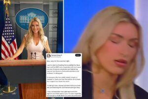 Fox News guest Camryn Kinsey reveals when she’ll be back on air after scary fainting incident